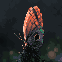 Luminance