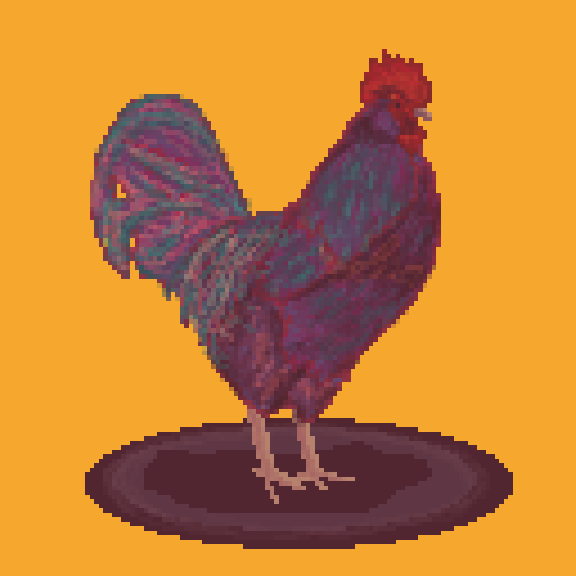 Prize Rooster