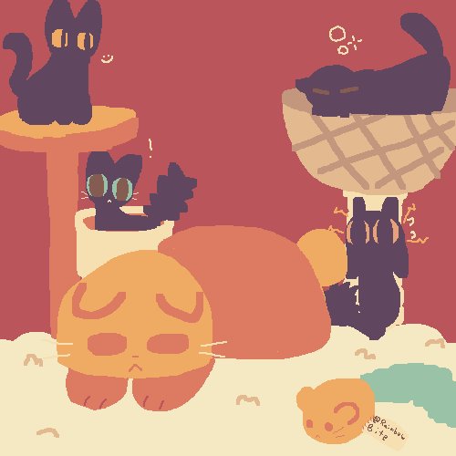 catty cat